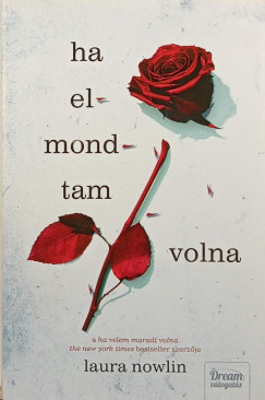 Laura Nowlin - Ha elmondtam volna