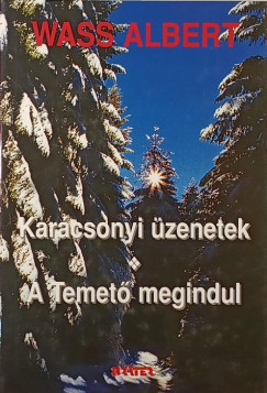 Karcsonyi zenetek - A temet megindul