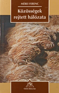 Kzssgek rejtett hlzata