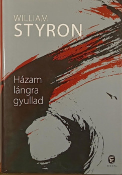 H�zam l�ngra gyullad