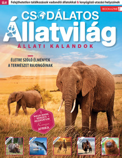 Bookazine csomag: Fles Bookazine - Csodlatos llatvilg + Top Bookazine - Kutyk