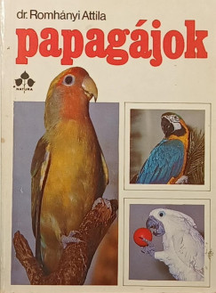 Papagjok