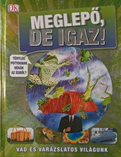 Andrea Mills - Meglep�, de igaz