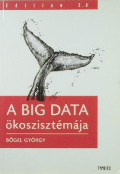 A Big Data koszisztmja