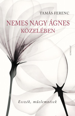 Nemes Nagy gnes kzelben