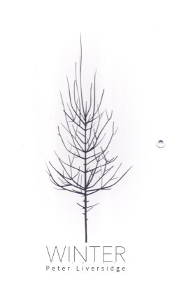 Winter - M�v�szeti leporell� bab�knak