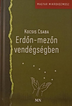 Erdn-mezn vendgsgben (dediklt)