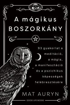 A mágikus boszorkány