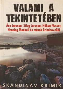 Valami a tekintetben