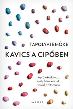Kavics a cip�ben