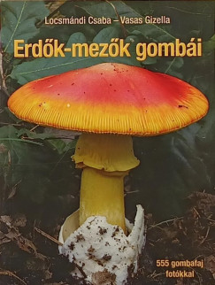Locsmndi Csaba - Vasas Gizella - Erdk-mezk gombi