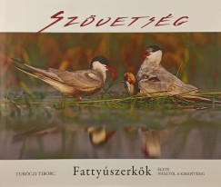 Szvetsg