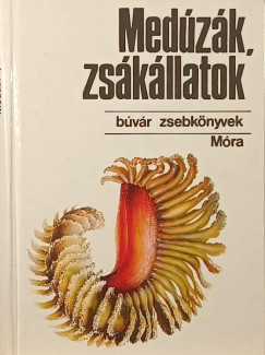 Medzk, zskllatok