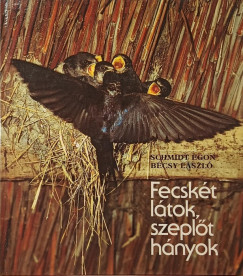 Fecsk�t l�tok, szepl�t h�nyok