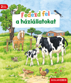 Fedezd fel a hzillatokat