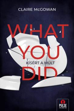 What You Did - Ksrt a mlt