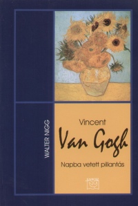 Vincent Van Gogh - Napba vetett pillants