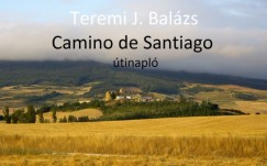 Camino de Santiago - tinapl