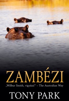 Zambzi