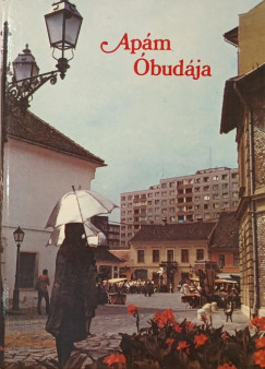 Apm budja