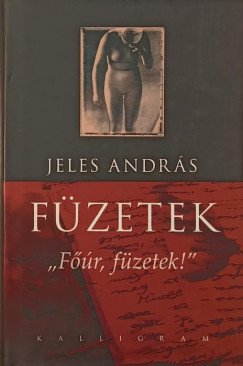 Fzetek