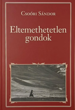 Eltemethetetlen gondok