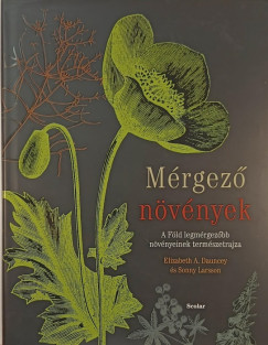 Mrgez nvnyek