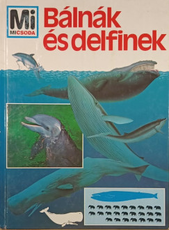 Blnk s delfinek