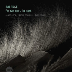 Balance for we known in part CD