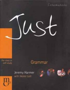 Just Grammar - Intermediate Level