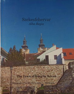John N. Lauer - Szekesfehervar - Alba Regia