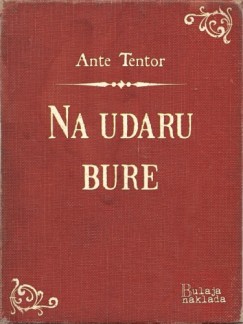 Na udaru bure