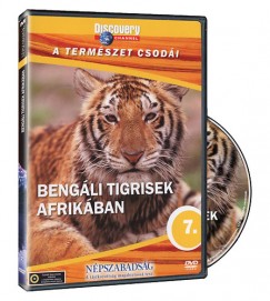 A termszet csodi 07. -  Bengli tigrisek afrikban - DVD