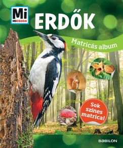 Erdk - Mi Micsoda matrics album