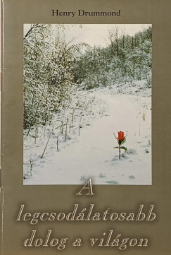 A legcsod�latosabb dolog a vil�gon