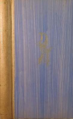 A debreceni luntikus
