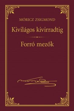 Mricz Zsigmond - Kivilgos kivirradtig
