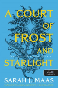A Court of Frost and Starlight - Fagy s csillagfny udvara