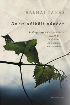 Az �t n�lk�li v�ndor