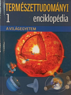 A vilgegyetem