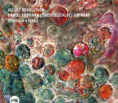 VELVET REVOLUTION  - CD