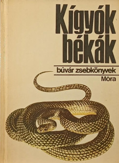 Janisch Miklós - Kígyók, békák