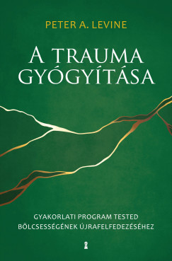 A trauma gygytsa - Gyakorlati program tested blcsessgnek jrafelfedezshez