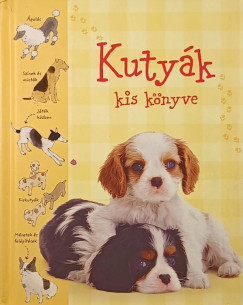 Kuty�k kis k�nyve