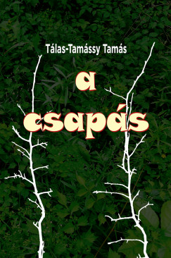 Tlas-Tamssy Tams - A csaps