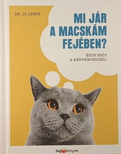 Mi jr a macskm fejben?