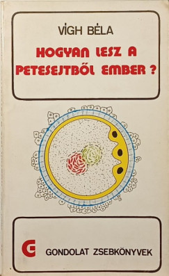 Hogyan lesz a petesejtb�l ember?