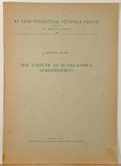 Hol tartunk az �gaskukorica nemes�t�s�ben?