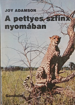 A pettyes szfinx nyom�ban