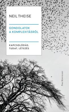 Gondolatok a komplexitsrl
